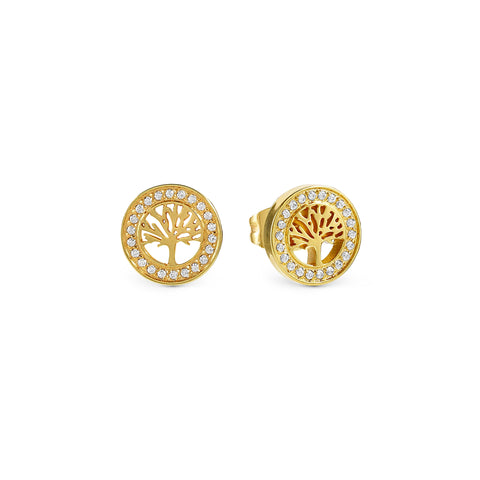 Soffio D'Amore CZ Tree of Life Gold Earrings
