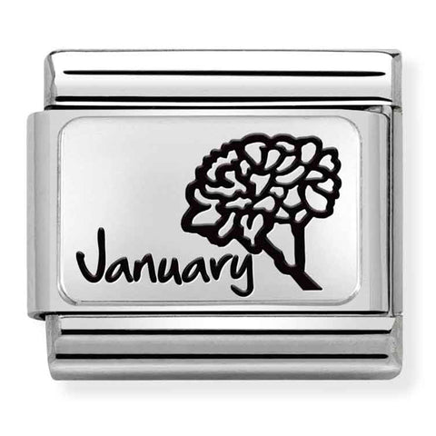 Nomination Composable Classic Link 330112/13 January Flower in 925 Silver